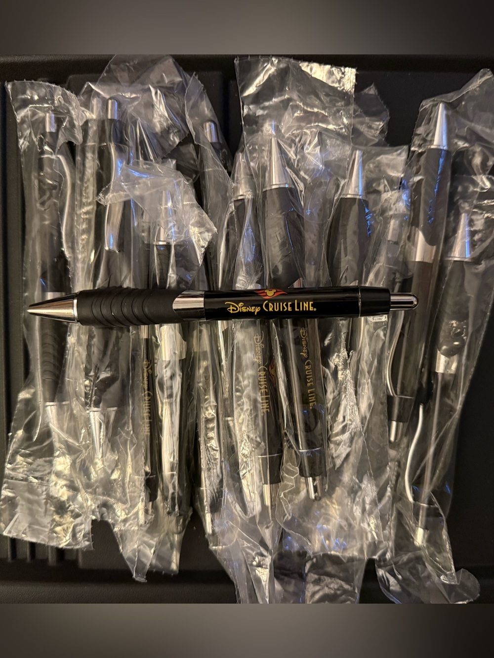 Disney Cruise Line Pens